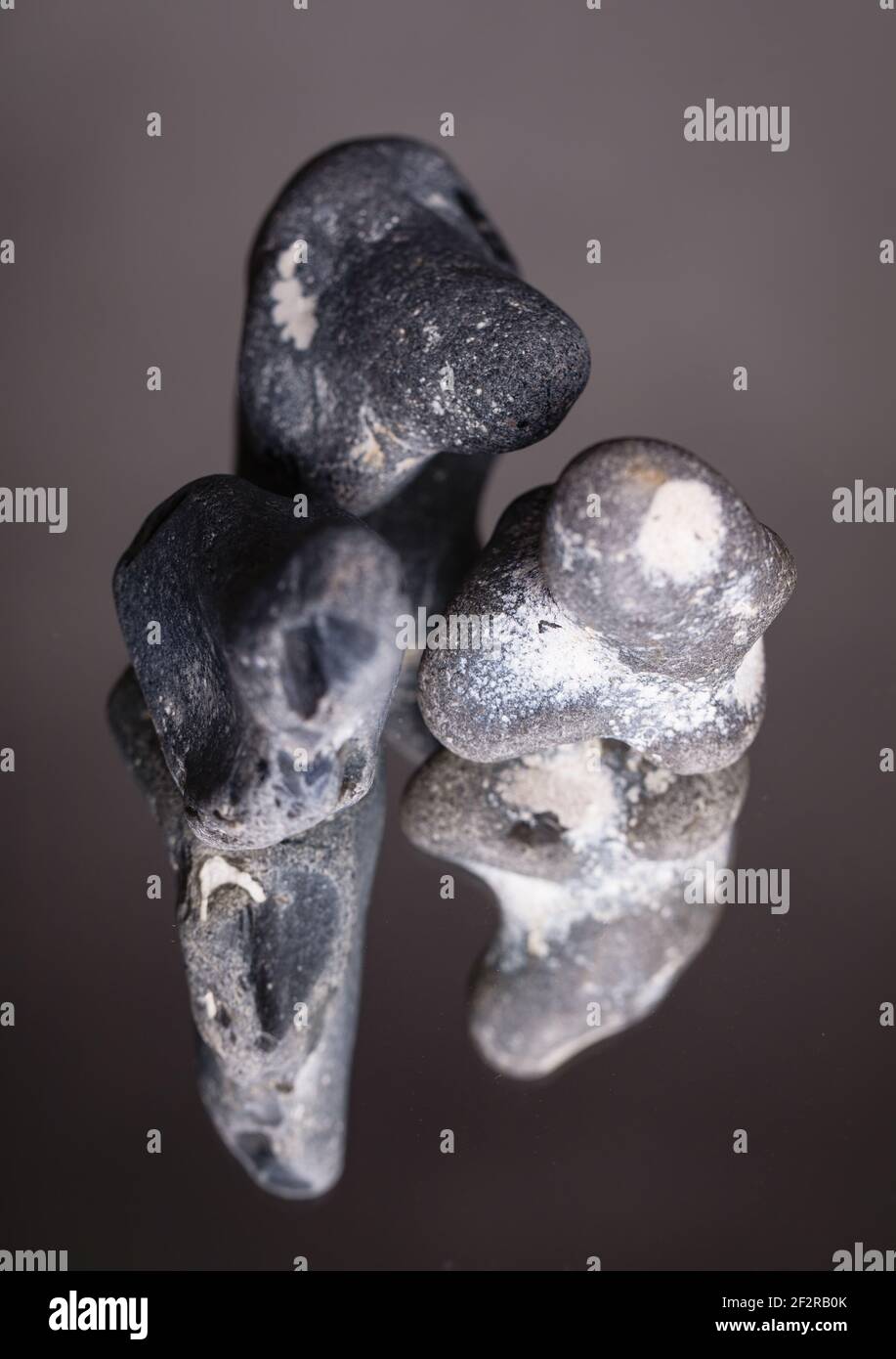 Stones, the rounded shapes of flints from the limestone cliffs of the ...