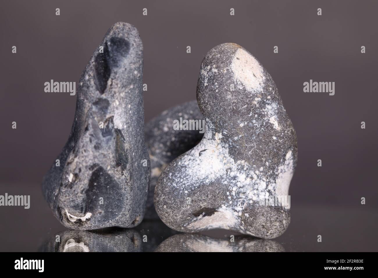 Stones, the rounded shapes of flints from the limestone cliffs of the ...