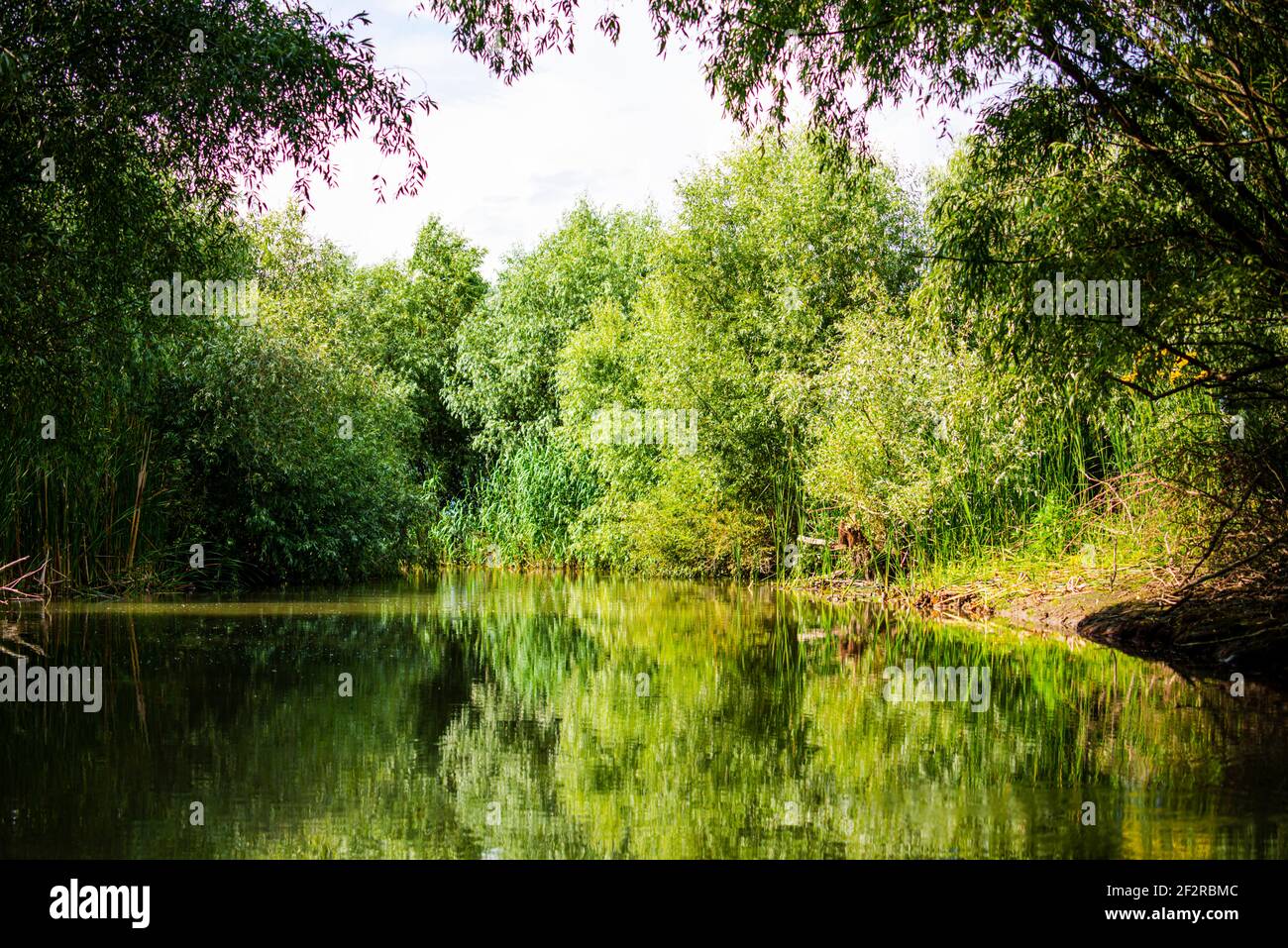 Landscape in Danube Delta, Romania Stock Photo - Alamy