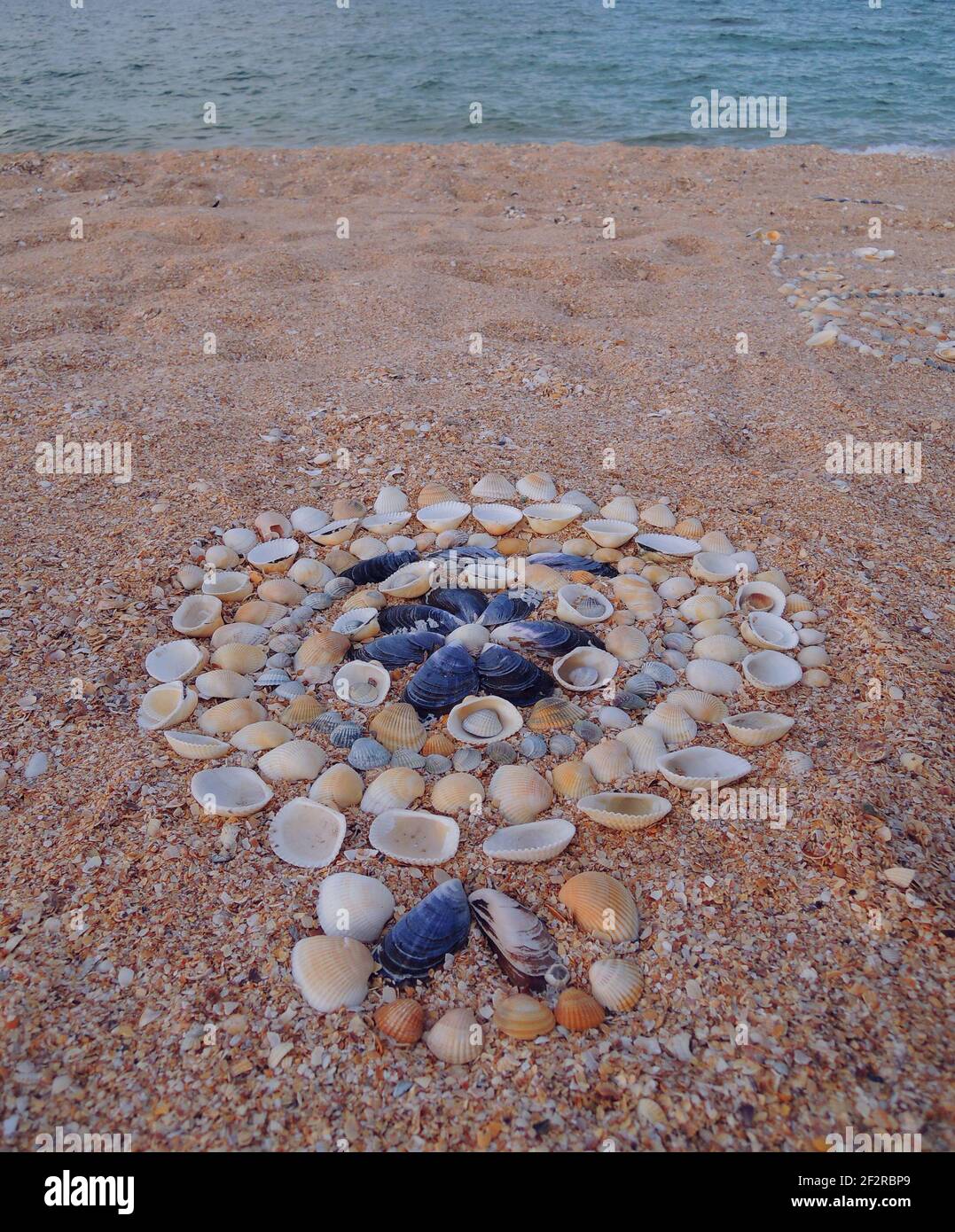 Sea Shells, Mussels And Cockles Tracery On A Beach Sand Stock Photo Alamy