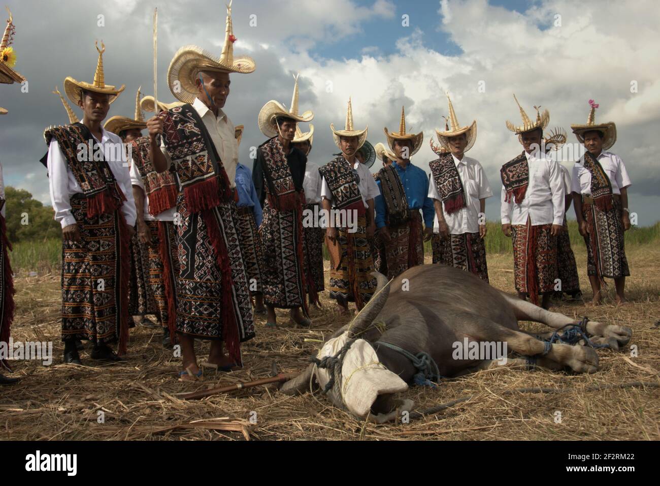 Turtle Congressmen Ceremony at turtle island hi-res stock photography and images - Alamy