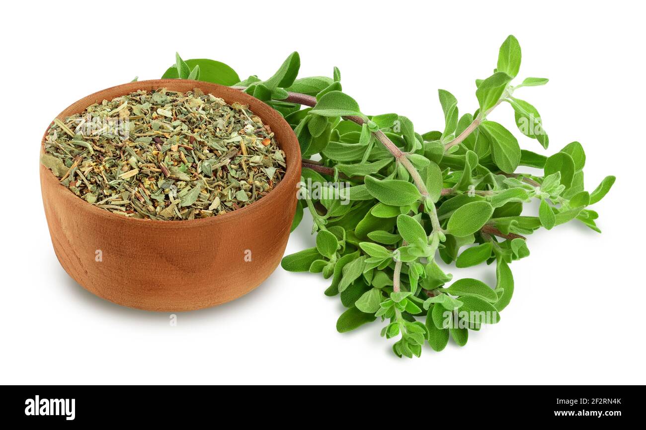 Oregano or marjoram leaves fresh and dry in wooden bowl isolated on