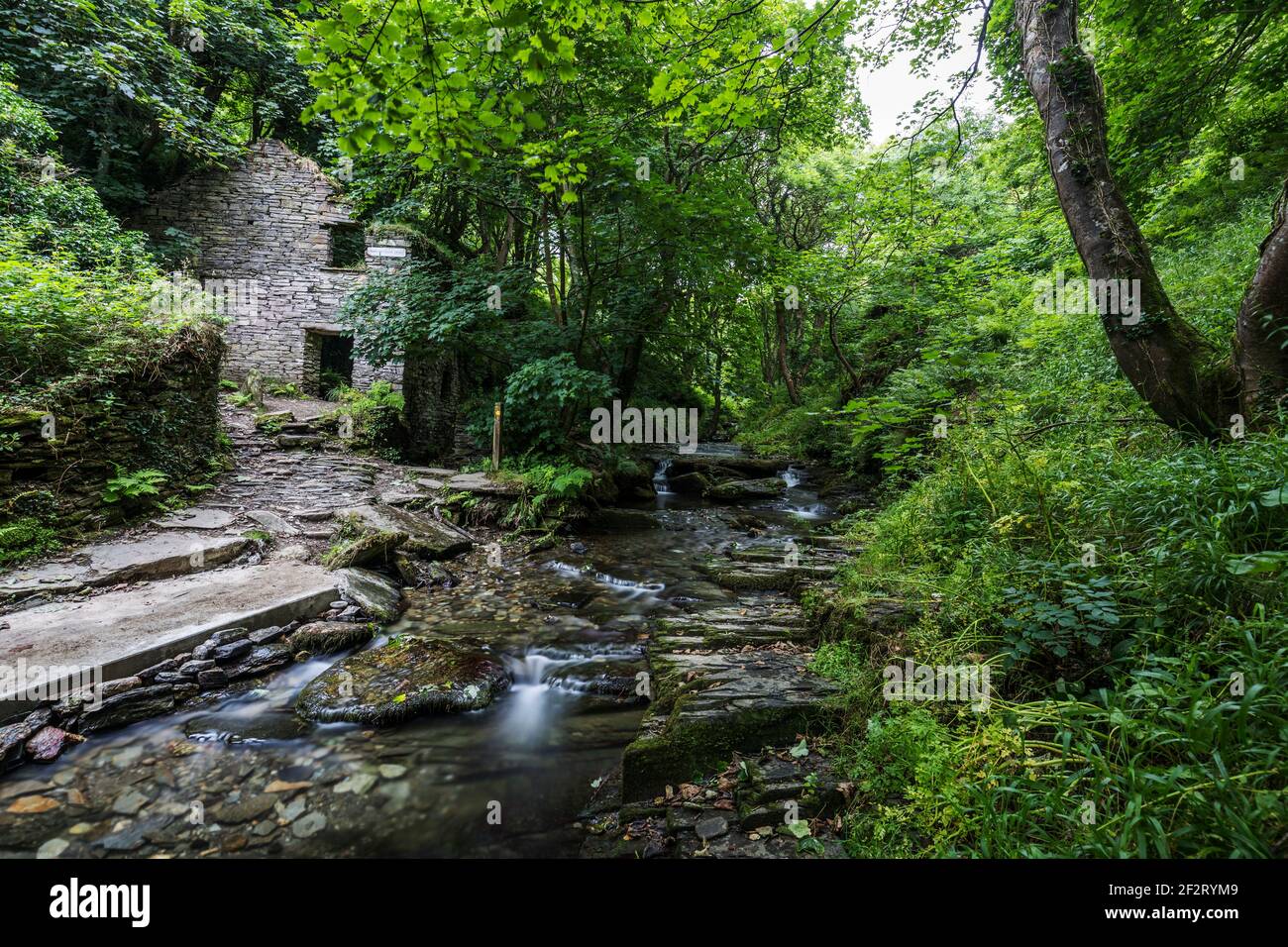 Trewethett Mill; Rocky Valley; Tintagel; Cornwall; UK Stock Photo