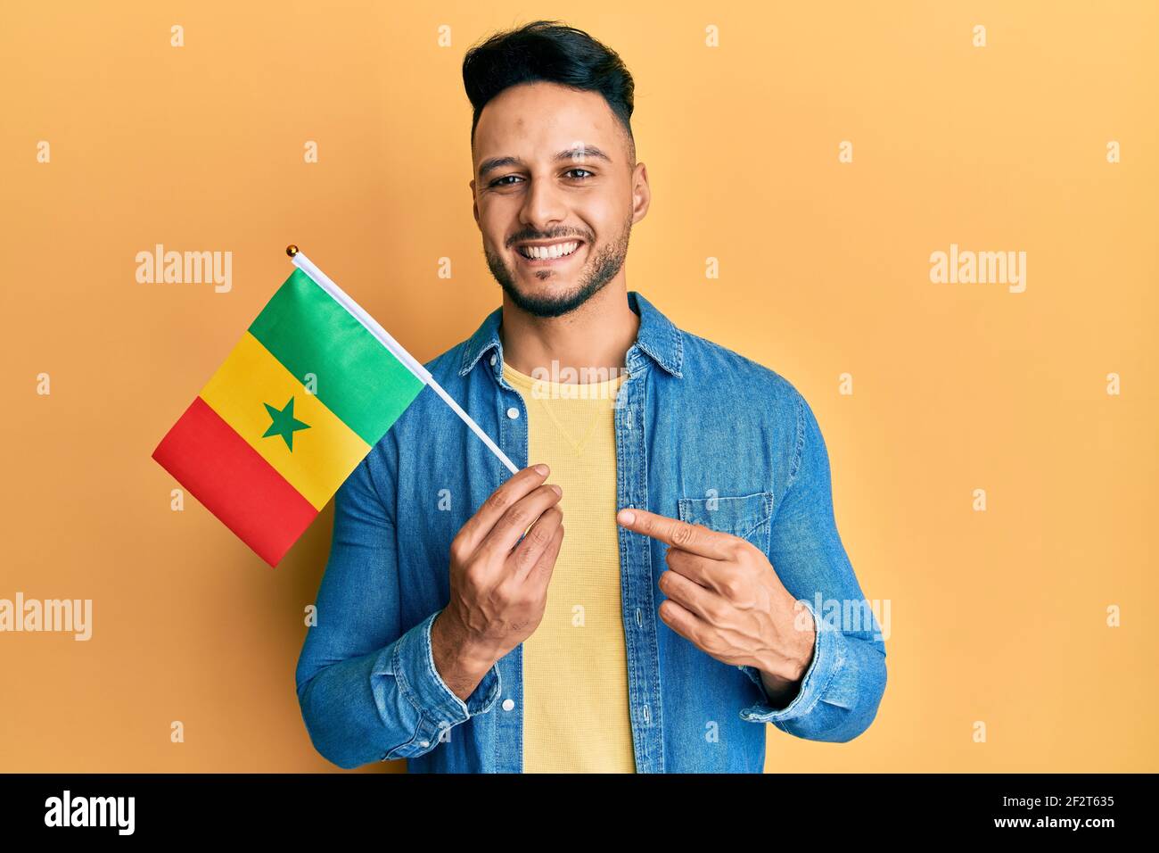 Senegal flag hi-res stock photography and images - Alamy