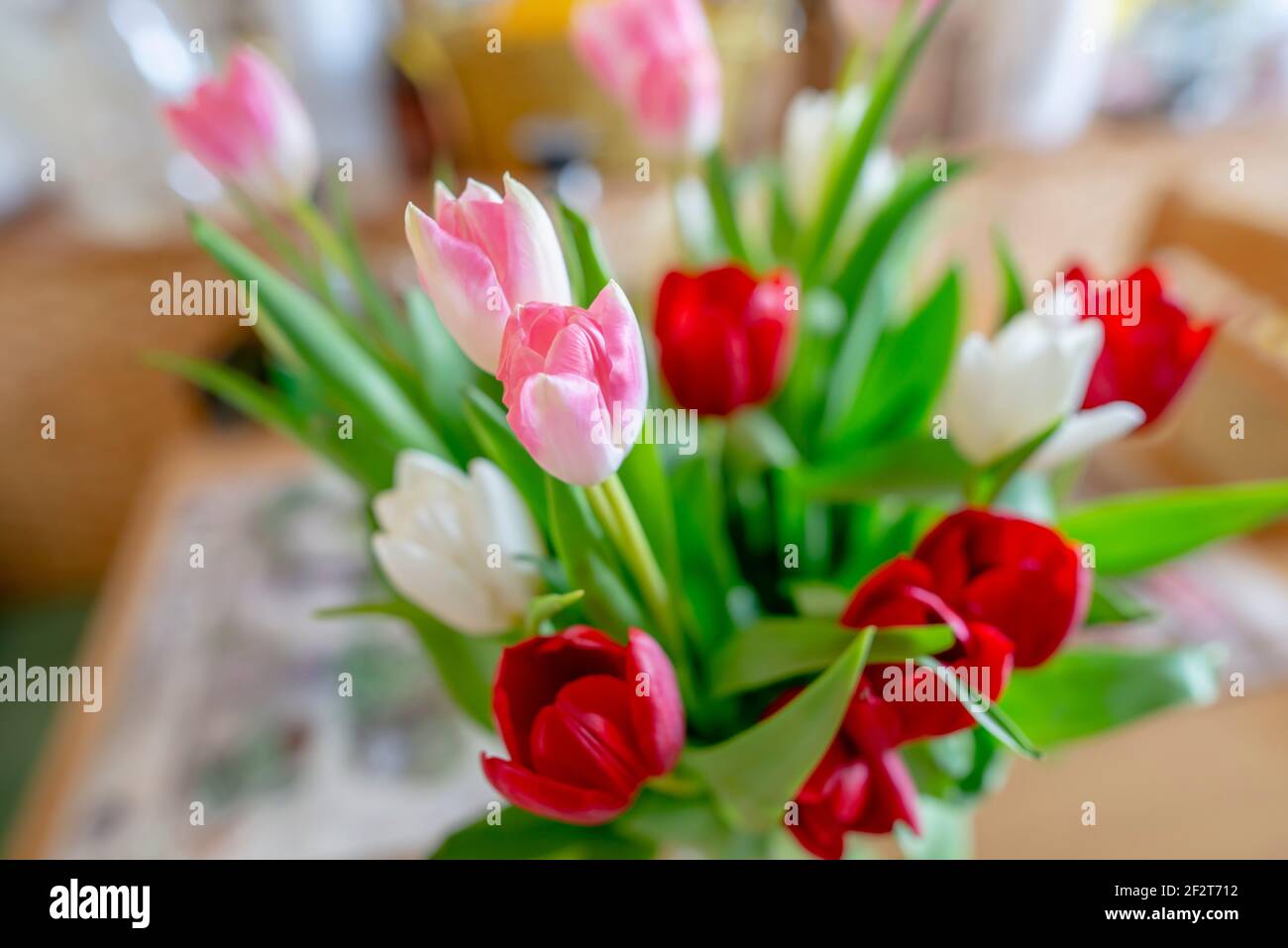 A bouquet of colorful tulips Stock Photo
