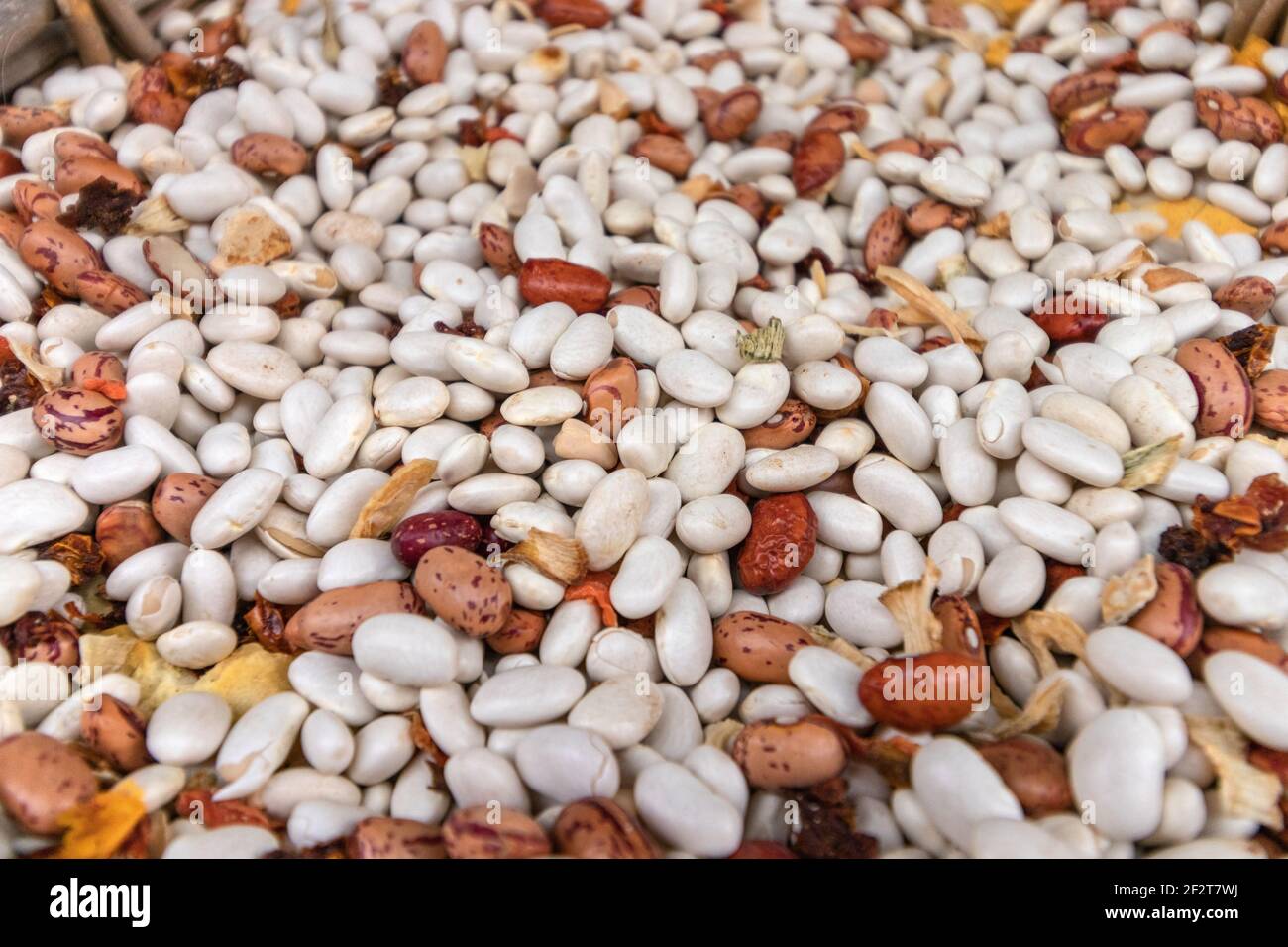 Closeup of different types of beans background. Bean texture Stock ...