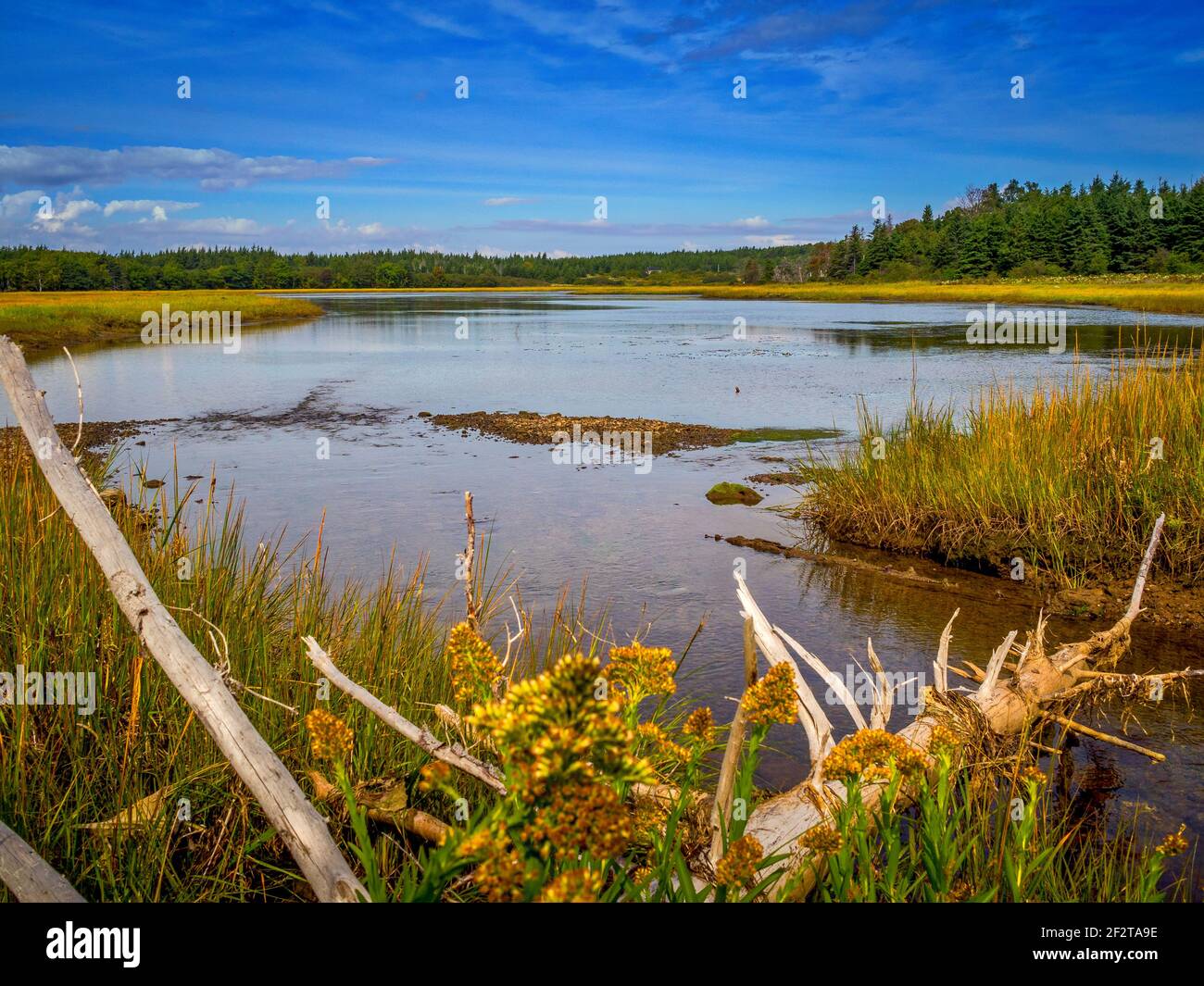 Marsh land on the scenic Ceilidh Trail in eastern Canada. Stock Photo