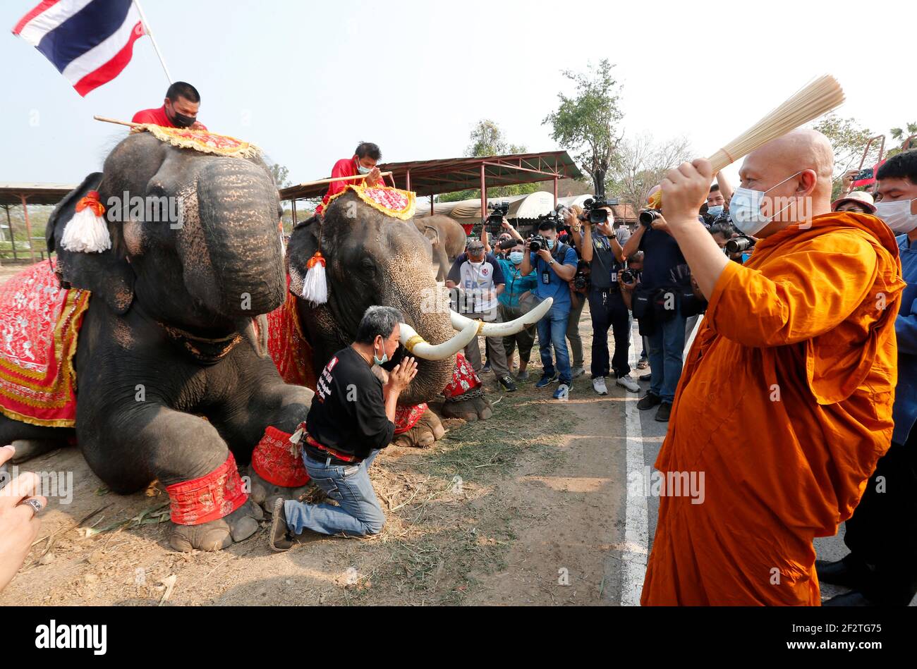 Ayutthaya, Thailand. 13th Mar, 2021. A Thai Buddhist monk blesses elephants during Thailand's national elephant day celebration in the ancient city of Ayutthaya, north of Bangkok. (Photo by Chaiwat Subprasom/SOPA Images/Sipa USA) Credit: Sipa USA/Alamy Live News Stock Photo