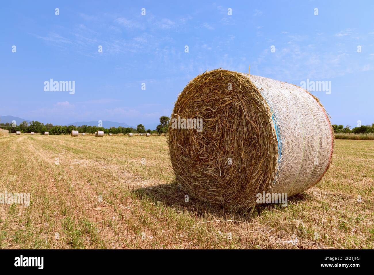 Hay rolls on a village field in northern Italy. Beautiful sunny spring day Stock Photo