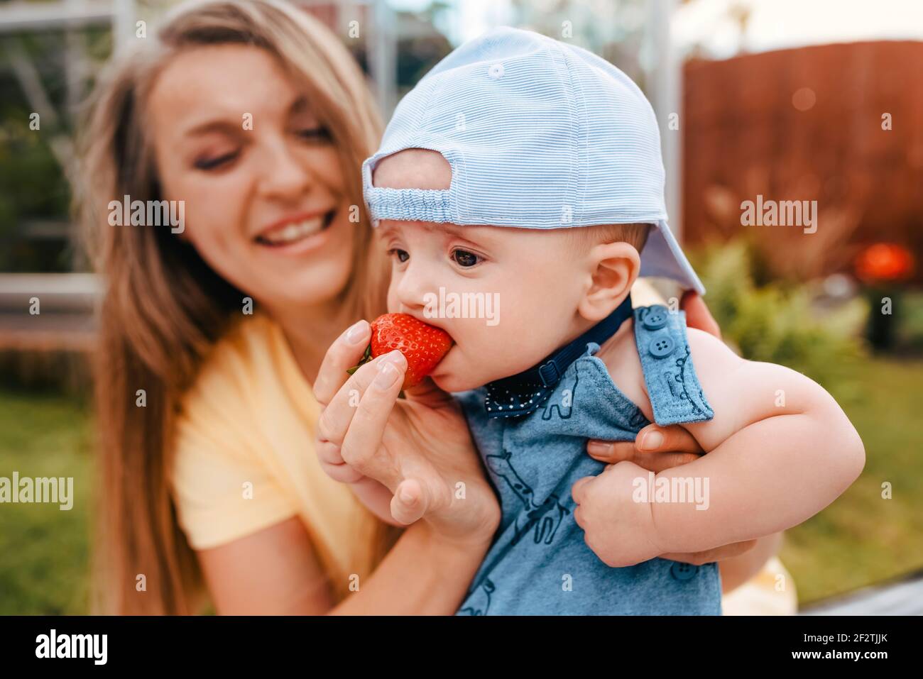 happy mother holding and feeding child strawberries in the garden in summe Stock Photo