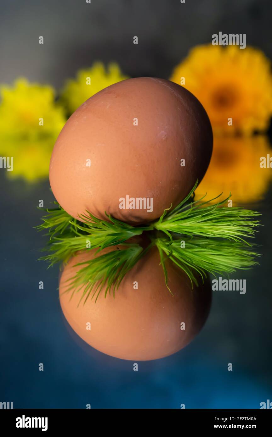 Image of a brown free range egg on a bed of green spiky leaves on a reflective surface in warm light. With in the background yellow spring flowers Stock Photo