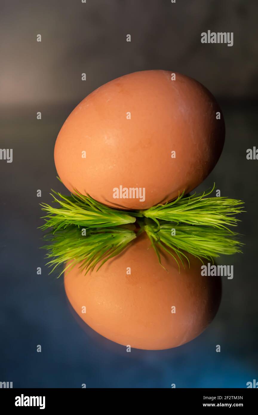 Image of a brown free range egg on a bed of green spiky leaves on a reflective surface in warm light Stock Photo