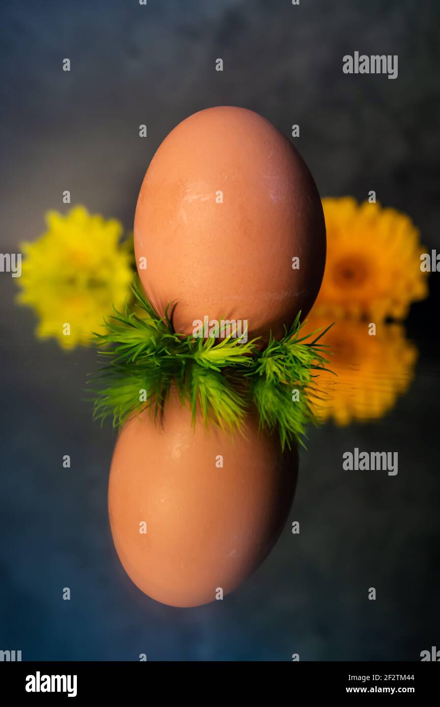 Image of a brown free range egg on a bed of green spiky leaves on a reflective surface in warm light. With in the background yellow spring flowers Stock Photo