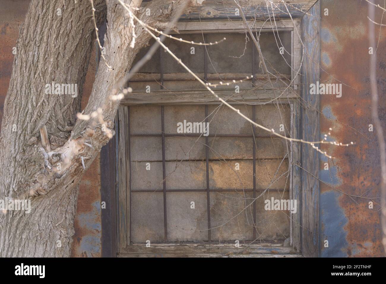 Closed window on old building with iron bars. Rust and peeling paint on walls of facade. Stock Photo