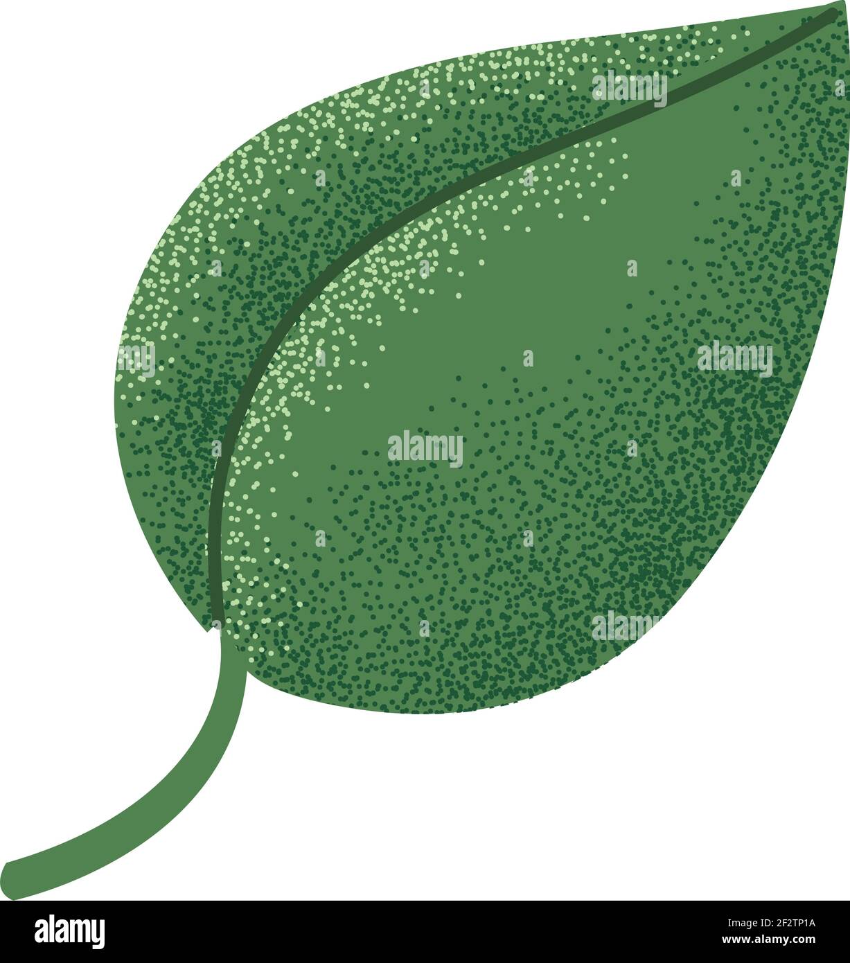 green leaf nature foliage icon Stock Vector Image & Art - Alamy