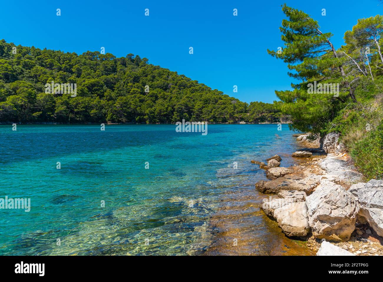 Turquoise Water Of Veliko Jezero At Mljet National Park In Croatia Turquoise Water Of Veliko Jezero At Mljet National Park In Croatia