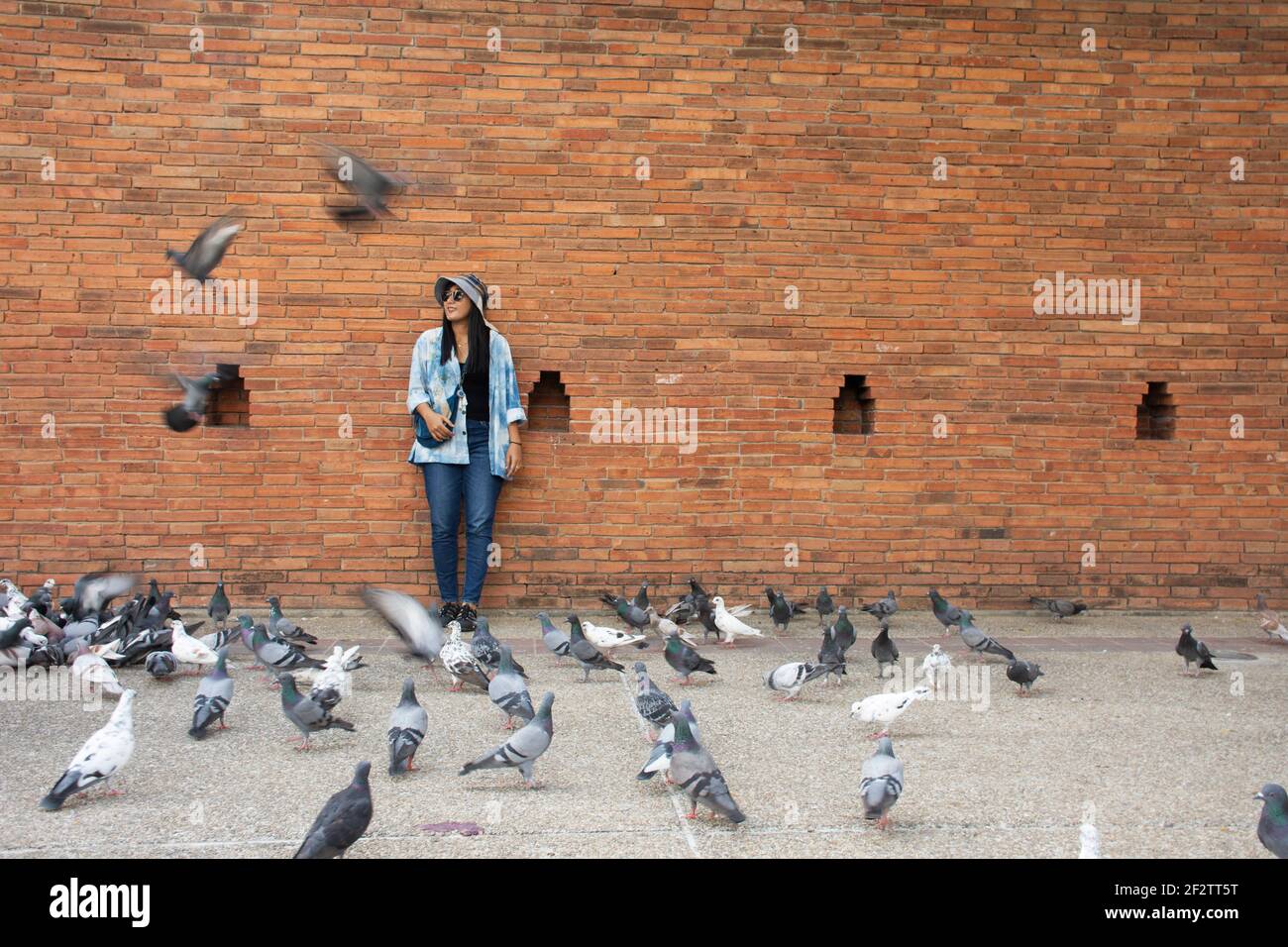 Travelers thai women people travel visit and take photo with dove birds at Thapae ancient gate or Chiang Mai old city brick walls and Tha Pae gates th Stock Photo