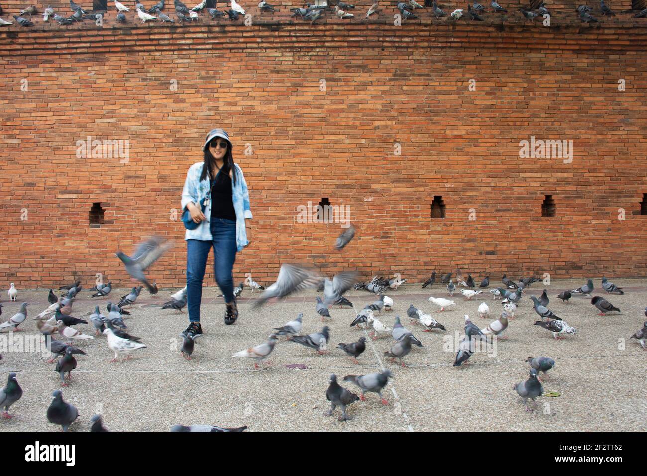 Travelers thai women people travel visit and take photo with dove birds at Thapae ancient gate or Chiang Mai old city brick walls and Tha Pae gates th Stock Photo