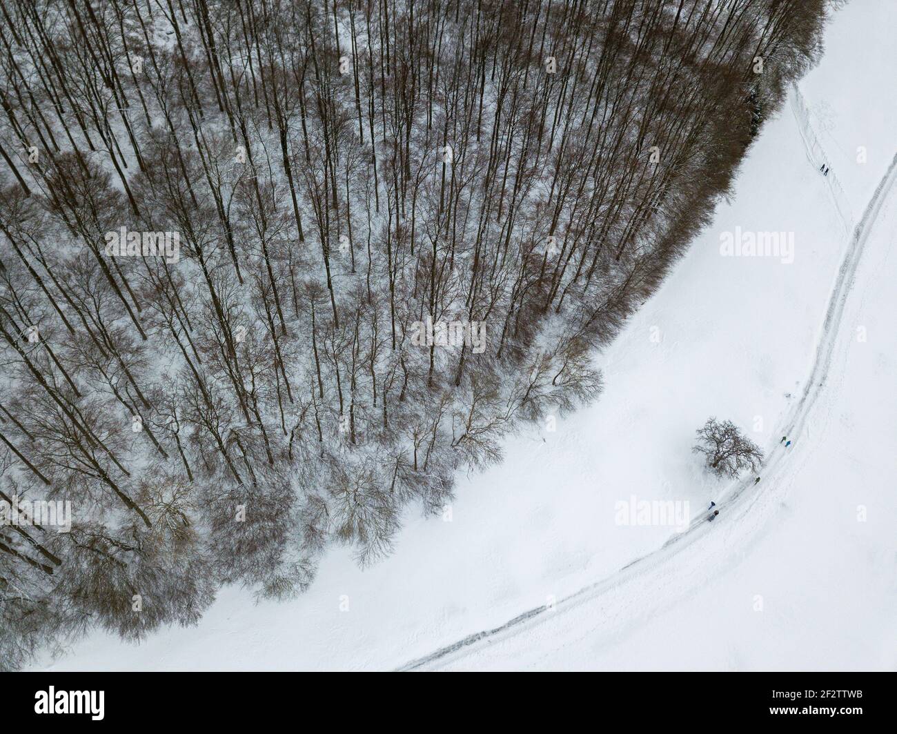 Aerial view on winter landscape with trees in deciduous forest covered with hoarfrost and people walking through snow covered path Stock Photo