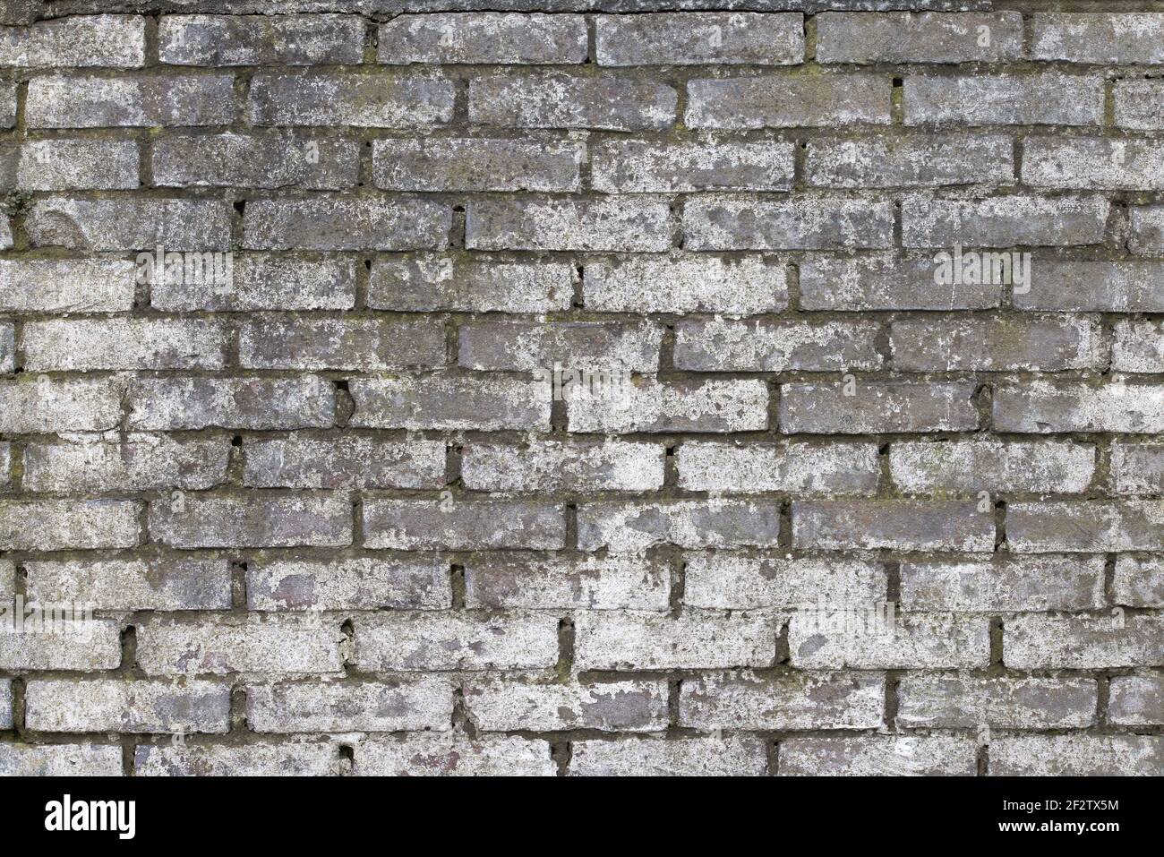 Background weathered brick wall with white plastering Stock Photo