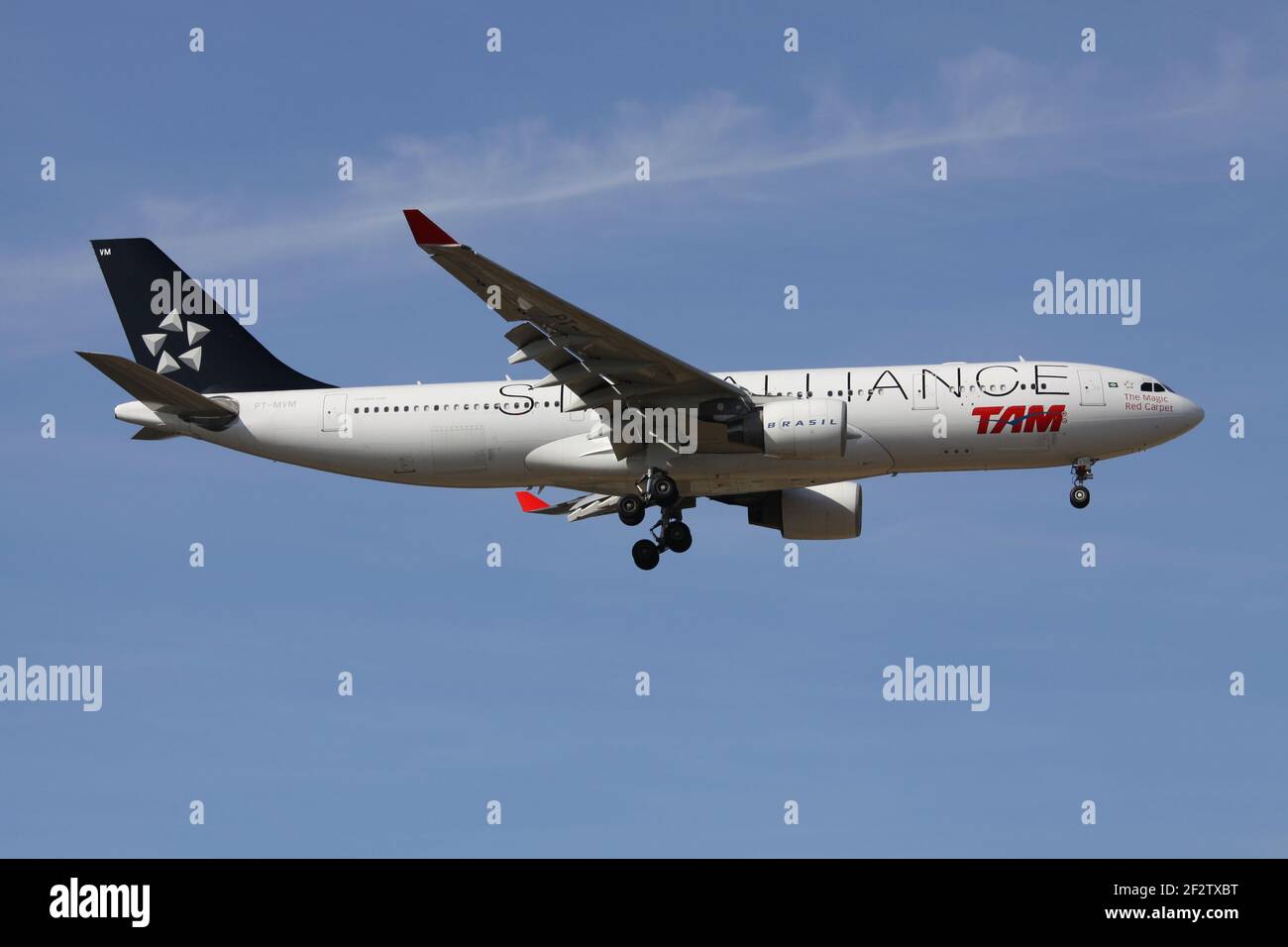 Brasilian TAM Airbus A330-200 in Star Alliance livery with registration  PT-MVM on final for runway 07R of Frankfurt Airport Stock Photo - Alamy