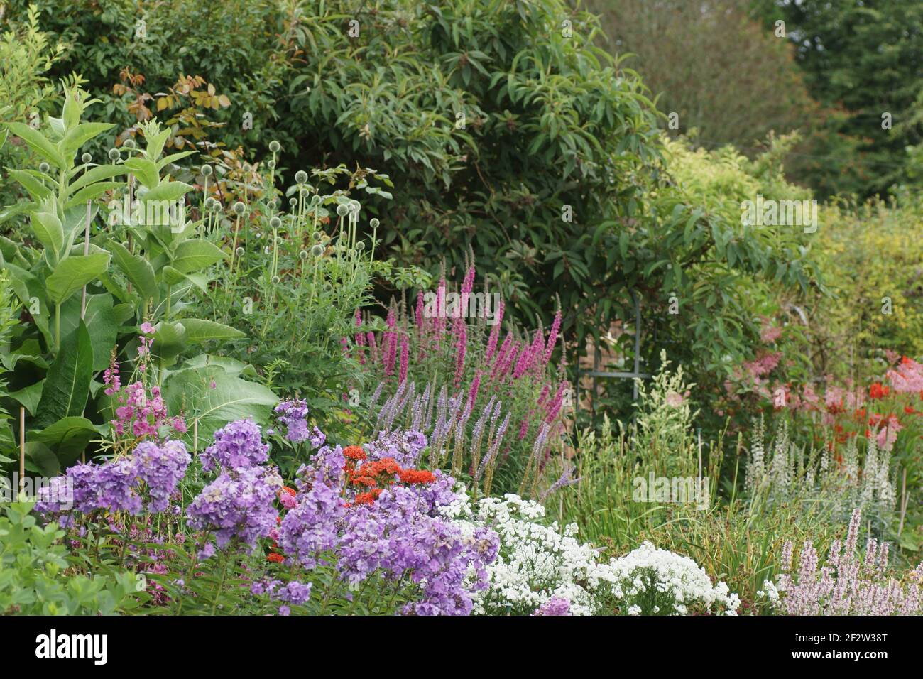Herbaceous borders hi-res stock photography and images - Alamy