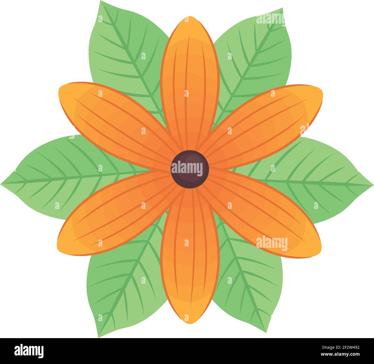 cute orange flower Stock Vector Image & Art - Alamy
