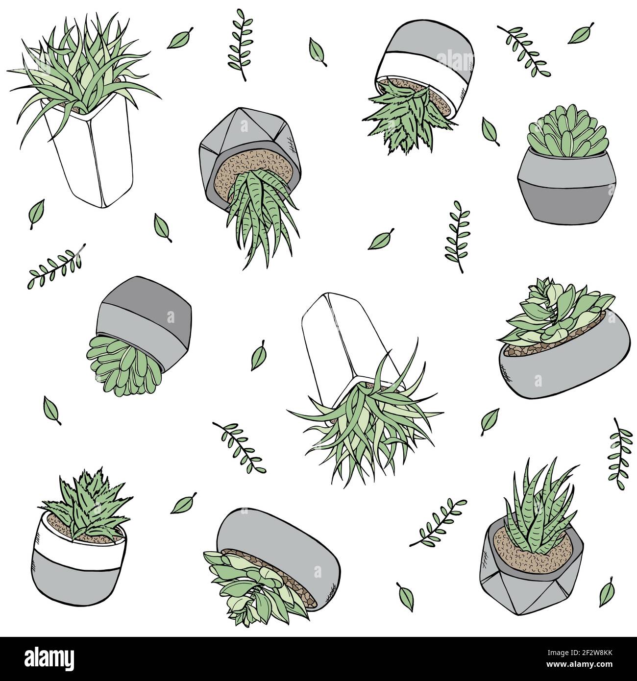 Botanical Seamless Pattern Doodle style illustration in vector format. Hand drawn Plants in pots Stock Vector
