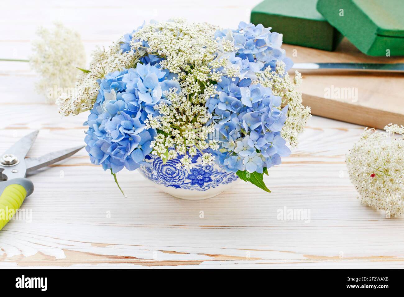 Florist at wotk: How to make floral arrangement with blue hortensia (hydrangea) and white Queen Anne's lace (daucus carota) flowers on white wooden ta Stock Photo