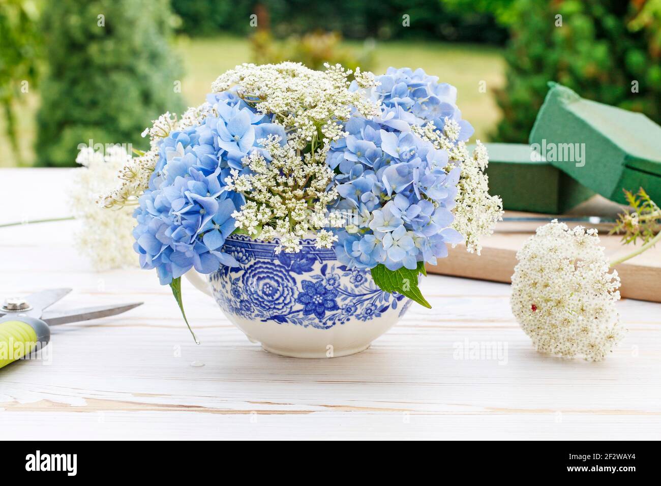 Florist at wotk: How to make floral arrangement with blue hortensia (hydrangea) and white Queen Anne's lace (daucus carota) flowers on white wooden ta Stock Photo