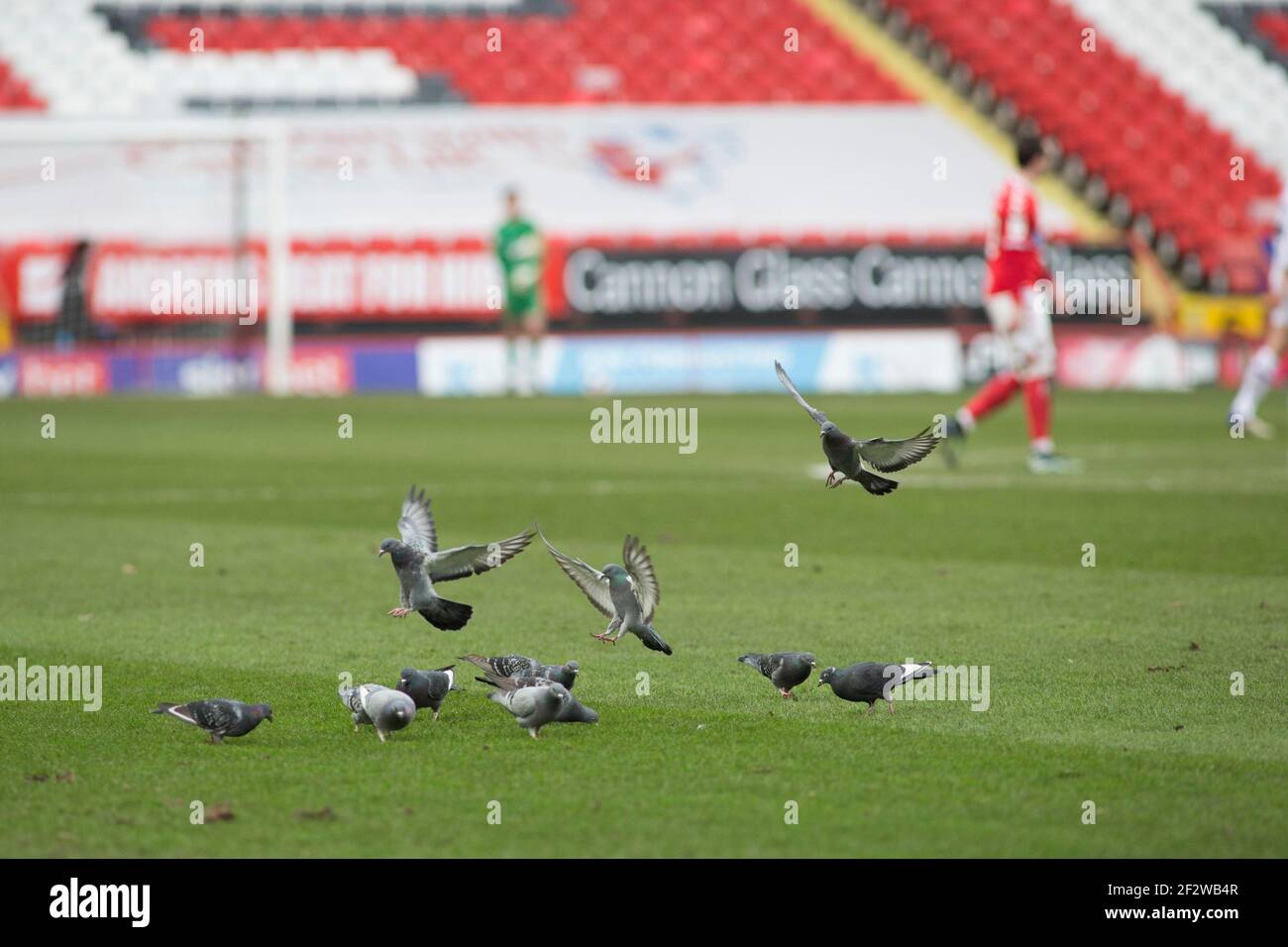 LONDON, UK: MARCH 13TH: The Valley pictured during the Sky Bet League 1 match between Charlton Athletic and Shrewsbury Town at The Valley, London on Saturday 13th March 2021. (Credit: Federico Maranesi | MI News) Credit: MI News & Sport /Alamy Live News Stock Photo