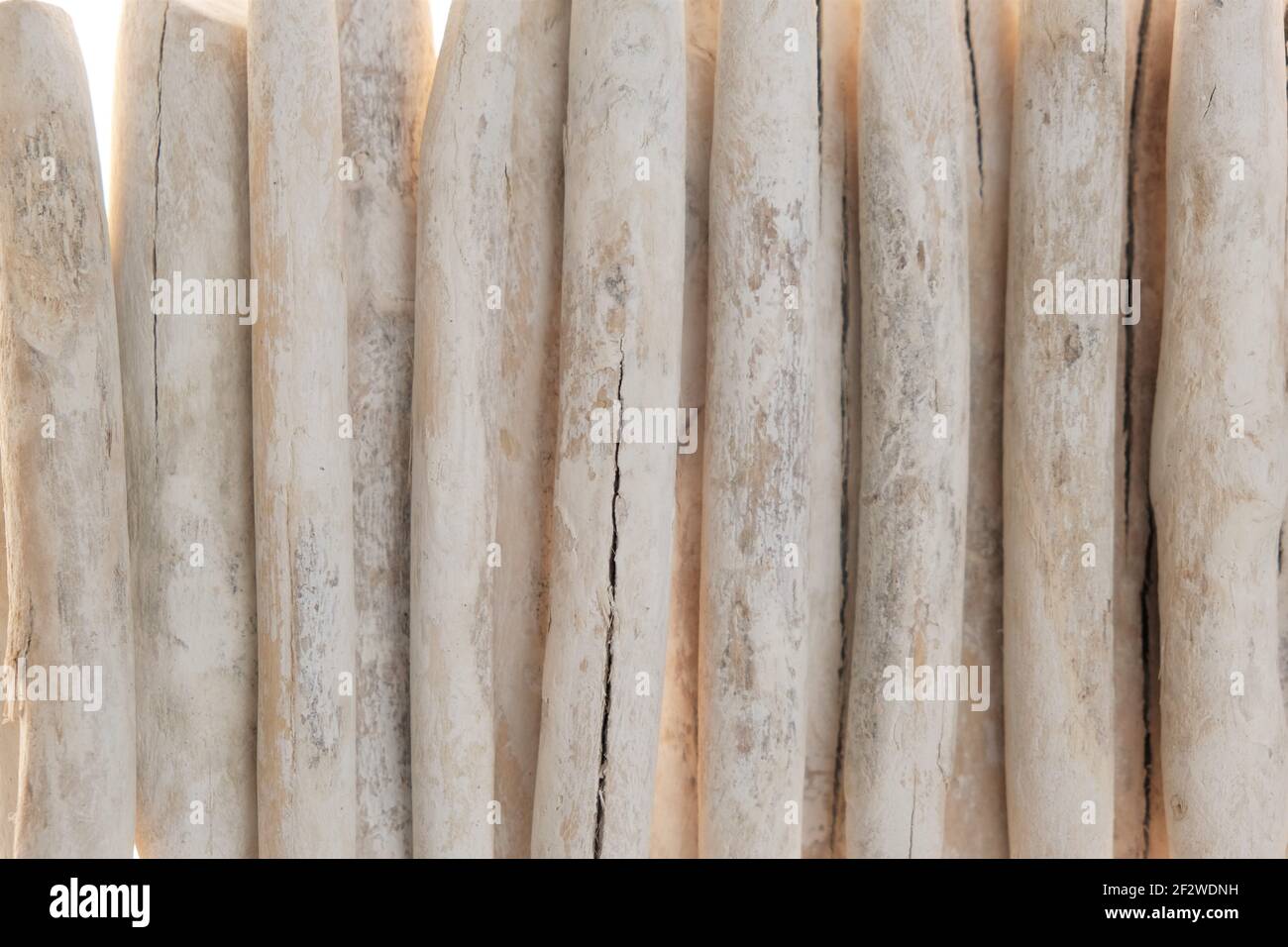 Driftwood. row of white sea snags.White sea driftwood close-up texture.Wooden nature background. Stock Photo