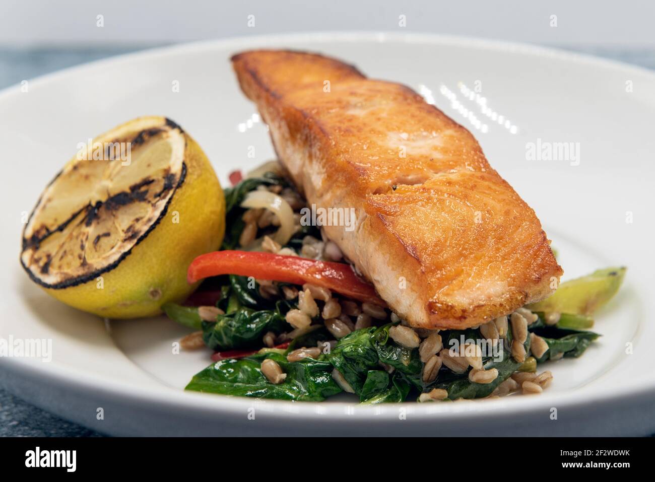Pan roasted salmon seasoned perfectly on top a pile of barley and garnished with grilled lemon slice. Stock Photo
