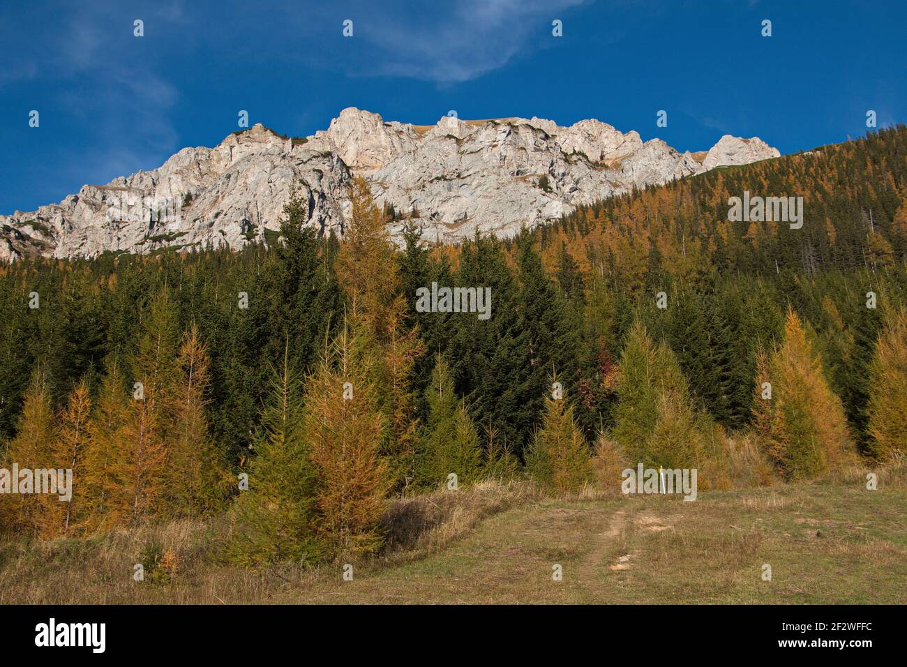 Landscape at hiking trail Altenberger Steig to Rax, Austria, Europe Stock Photo