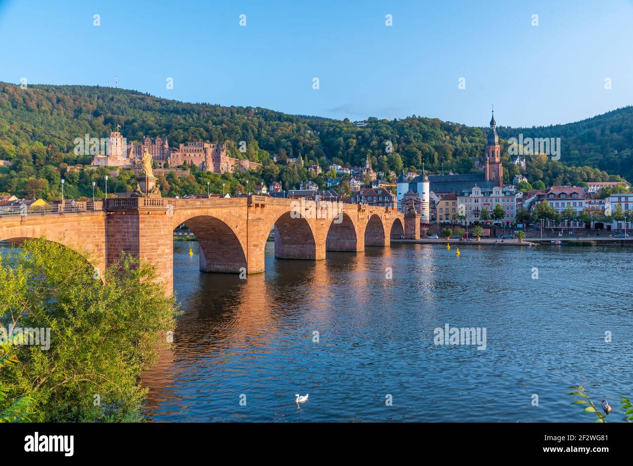 Neckar river riverside panorama heidelberg hi-res stock photography and ...