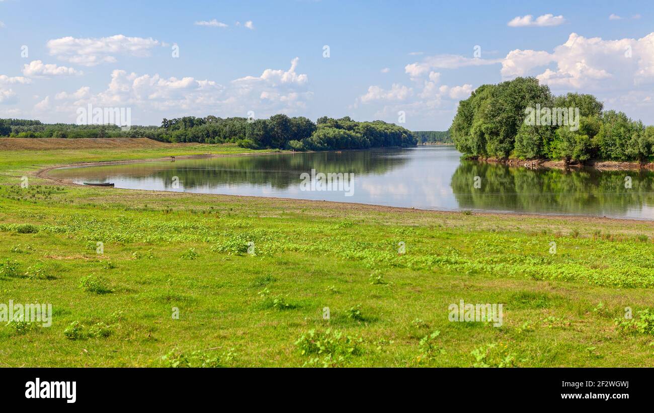 Green riverside scenery . Idyllic scenery with green river shore Stock ...