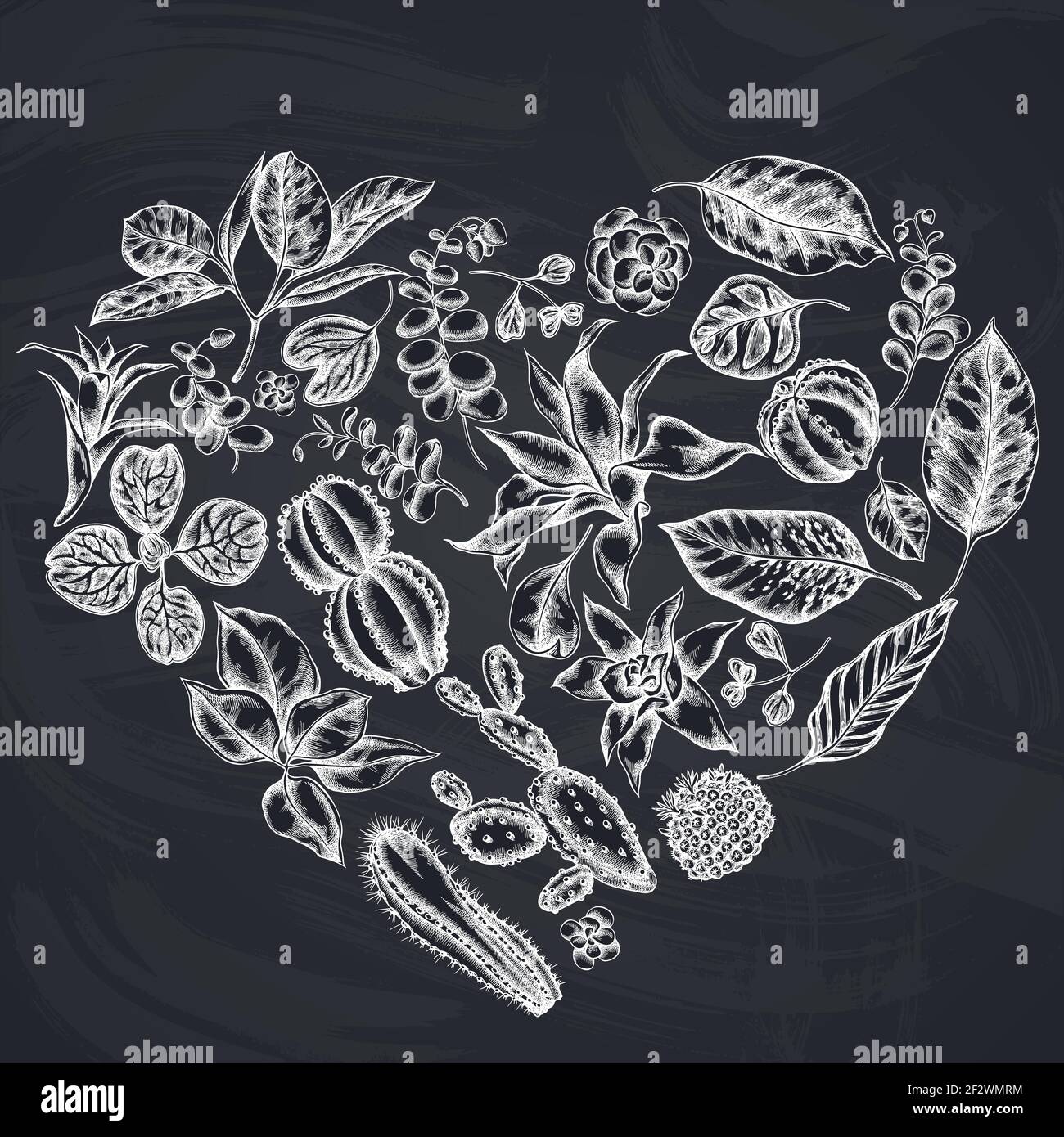Heart floral design with chalk ficus, iresine, kalanchoe, calathea, guzmania, cactus Stock Vector