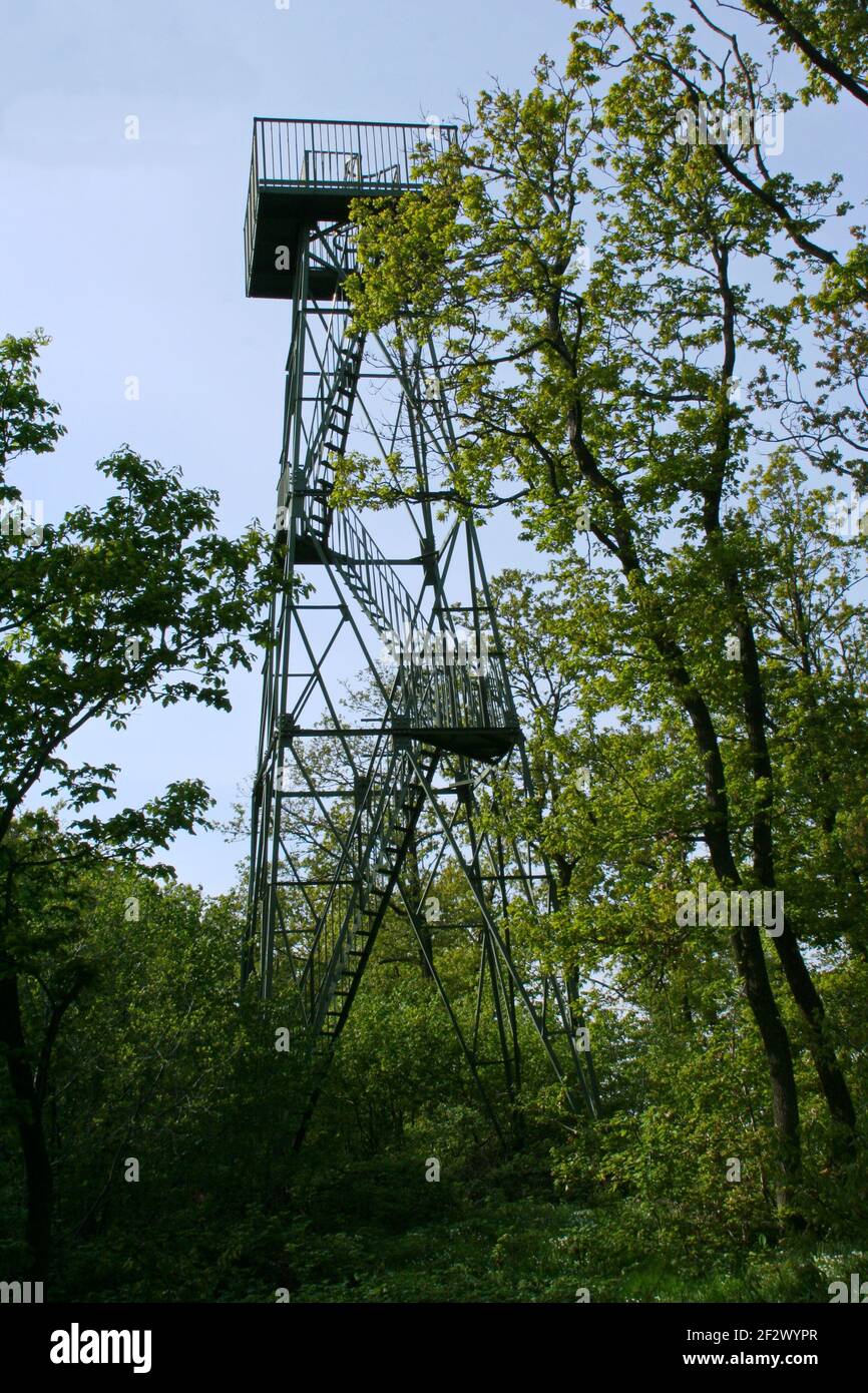 Lookout tower on the summit of Sonnenberg in Leithagebirge in Burgenland, Austria, Europe Stock Photo