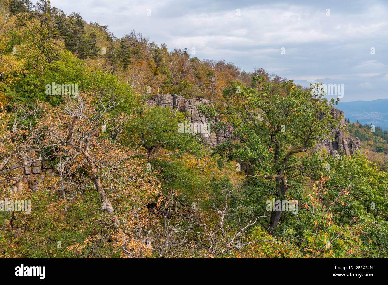 Battert rocks overlooking Baden Baden in Germany Stock Photo - Alamy