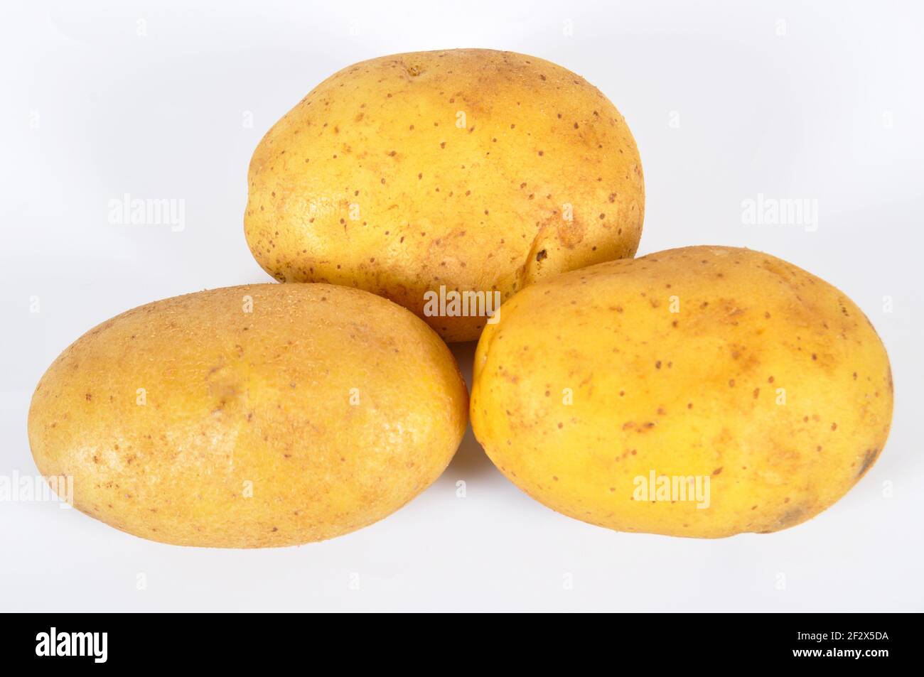 Fresh organic yellow raw potato vegetable, carbohydrate and starch
