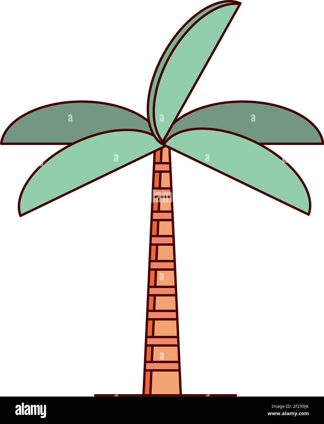 tropical palm tree nature isolated Stock Vector Image & Art - Alamy