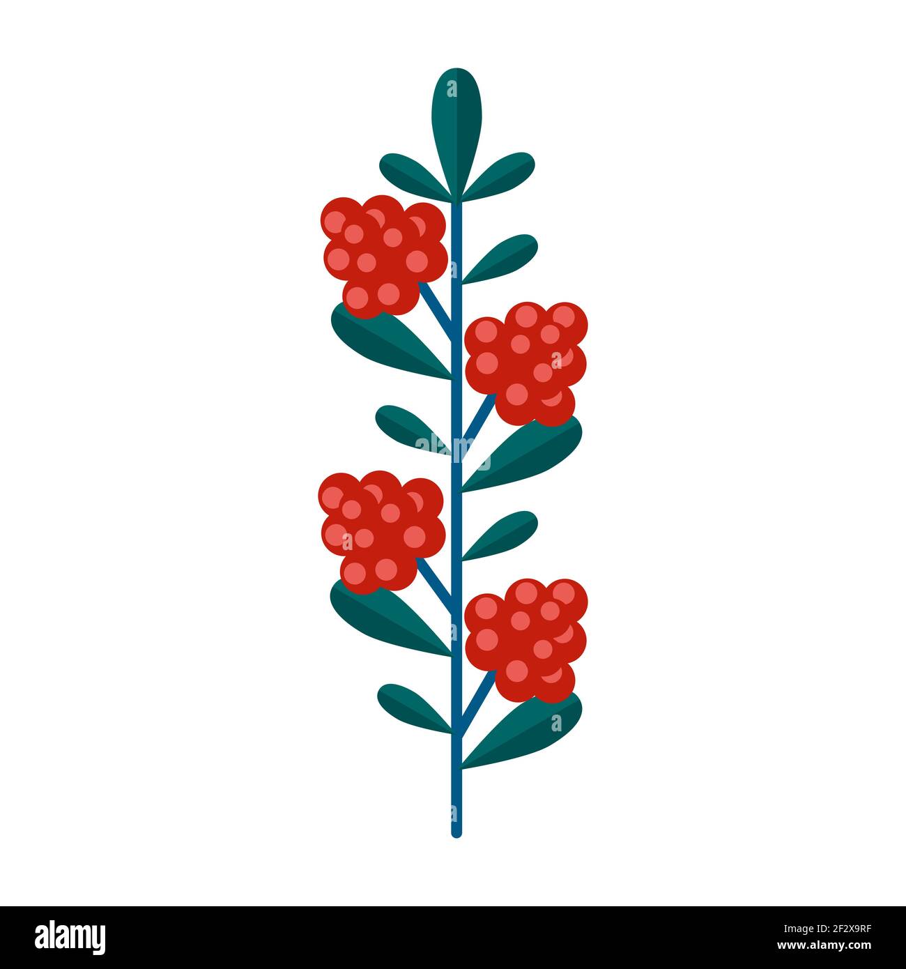 Simple minimalistic green branch of raspberry with leaves and red berries. Floral collection of elegant plants for seasonal decoration . Stylized icon Stock Vector