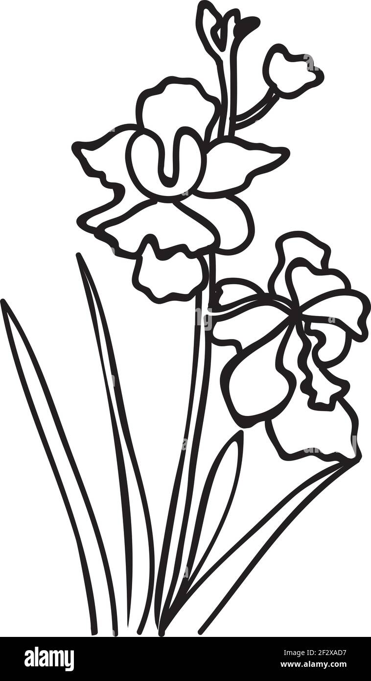 Top 152+ national flower drawing seven.edu.vn