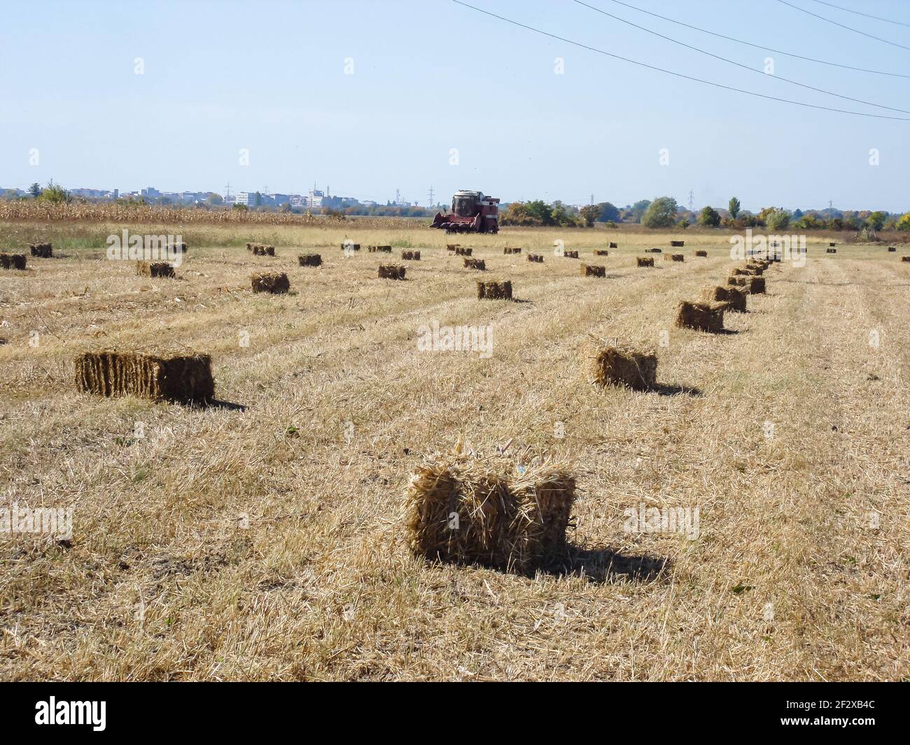 Agricultural field with straw bales after harvest Stock Photo - Alamy