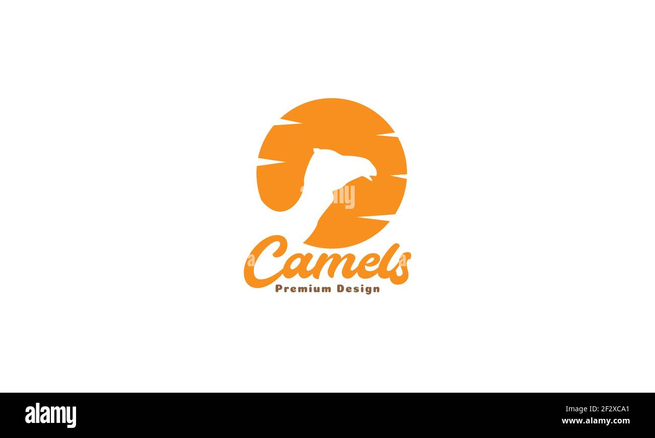 animal camels head with sunset logo vector symbol icon illustration design Stock Vector