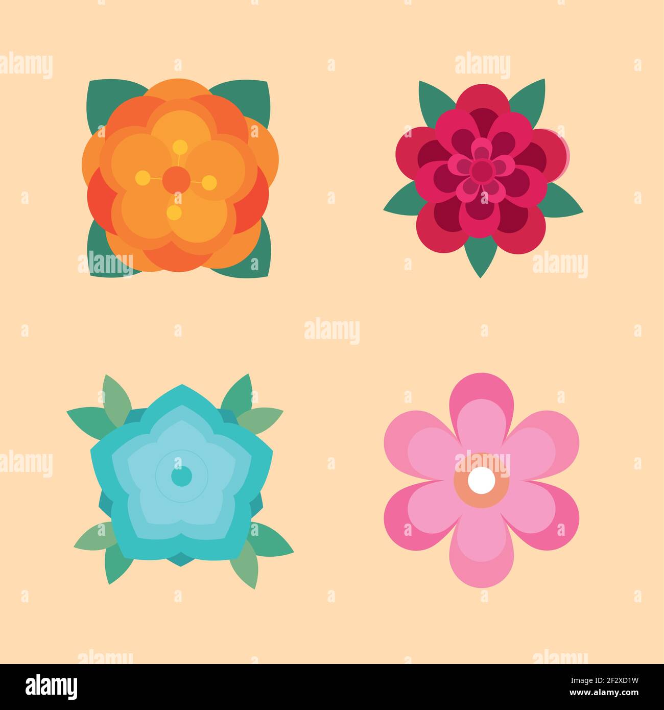 set of flowers decoration nature Stock Vector Image & Art - Alamy