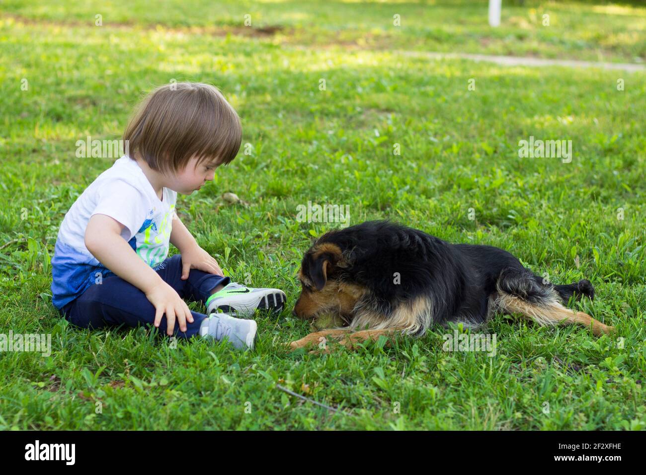 How Can You Tell If A Dog Has Down Syndrome