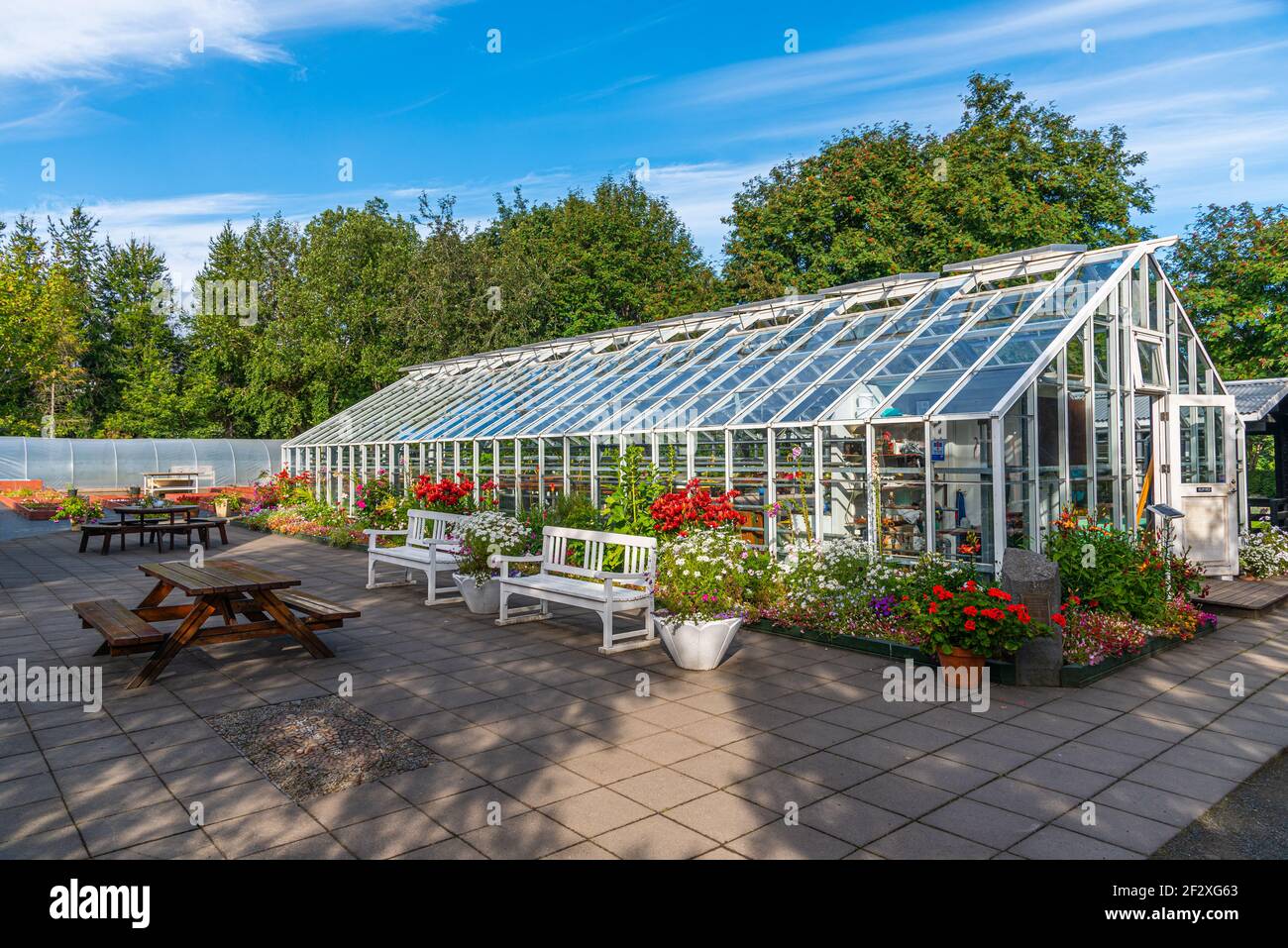Akureyri Iceland Botanic Garden Hi res Stock Photography And Images Alamy akureyri-iceland-botanic-garden-hi-res-stock-photography-and-images-alamy