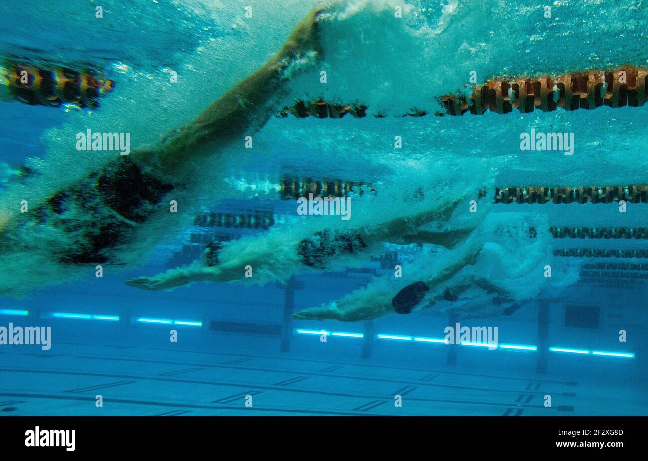 Swimmers dive into a pool for a race during a swim meet Stock Photo Alamy