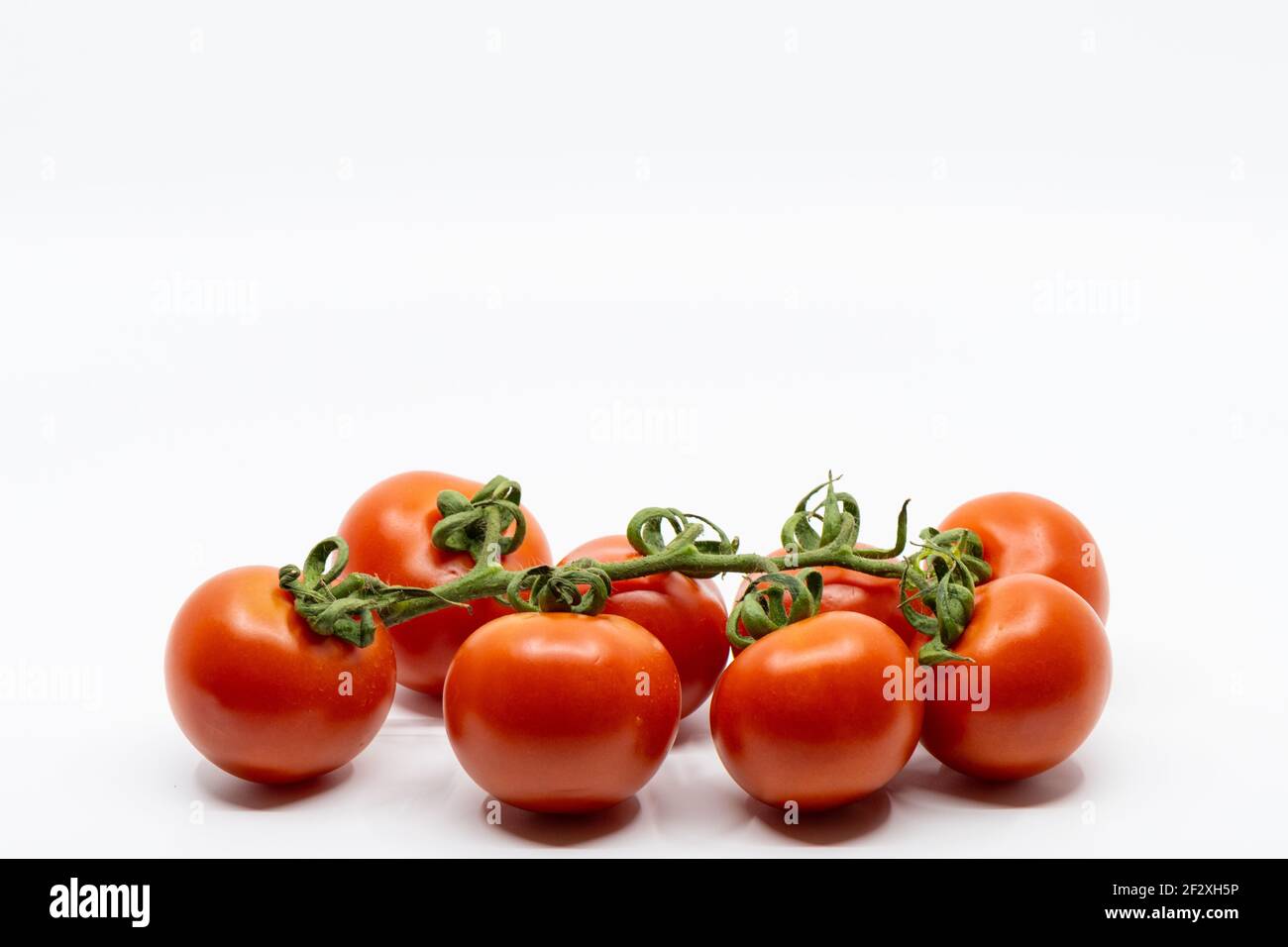 Fresh Tomatoes Isolated on White Background. Bunch of fresh, red tomatoes with green stems Stock Photo